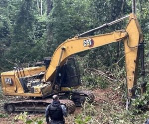 Durante fiscalização, desmatamento ilegal é flagrado e infratores são multados em R$ 10 milhões