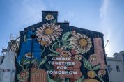 Polnia ganha mural que purifica o ar com efeito equivalente a 720 rvores