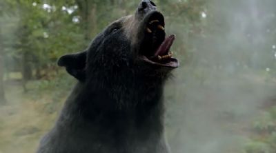 A combinao entre um urso e cocana chega aos cinemas de Cuiab e VG