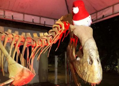 Museu de História Natural recebe decoração natalina e horário especial nesta sexta e sábado