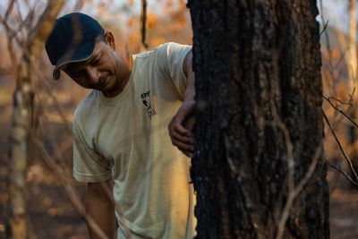 Dia do Pantanal: luta contra o fogo em reserva vira documentrio