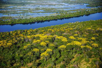 gua, biodiversidade e cultura: livro mapeia vale do Guapor em Mato Grosso