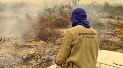 Sesc Pantanal vence etapa do Prmio Aberje com documentrio sobre incndios de 2020