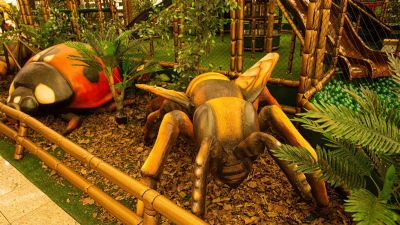 Mundo dos insetos gigantes  espao para a crianada em shopping de Cuiab