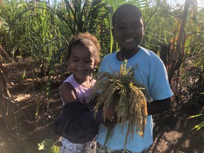 Dia do Cerrado: agricultura quilombola ajuda na preservao do bioma em Mato Grosso