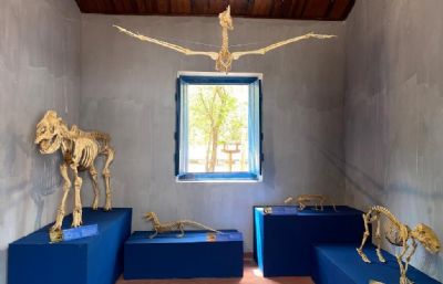 Exposio apresenta esqueletos de animais para explicar bioma do Pantanal