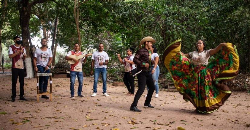 'A Potica dos Quintais'  tema de live do Instituto INCA nesta tera-feira