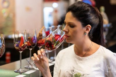 Sommelier ensina como escolher, degustar e harmonizar vinhos em curso online