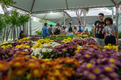 Festival das Flores  cancelado pelo segundo ano consecutivo devido  pandemia
