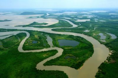 Biodiversidade do Pantanal  tema de palestra na UFMT para discutir indstria fitoterpica