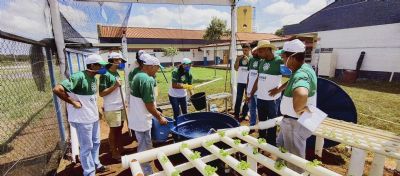 Cultivo hidropnico beneficia comunidades do interior de Mato Grosso