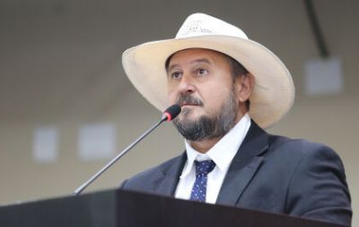 Cattani ameaa exigir votao de extino de Parque Ricardo Franco caso novo projeto no seja finalizado