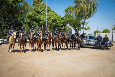 Cavalaria da Polícia Militar celebra 13 anos de criação com Operação Centauro