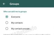 WhatsApp finalmente libera opo para impedir adio em grupos sem consentimento