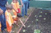 Crianas aprendem na brincadeira a cultivar hortas e alimentao saudvel