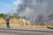 Bombeiros enfrentam dificuldades em conter incndio na MT-010; fotos e vdeo