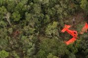 Piloto  resgatado aps cair em regio de mata em Campo Novo do Parecis; veja