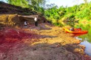 Estudo confirma presena de dinossauros em Mato Grosso do Sul