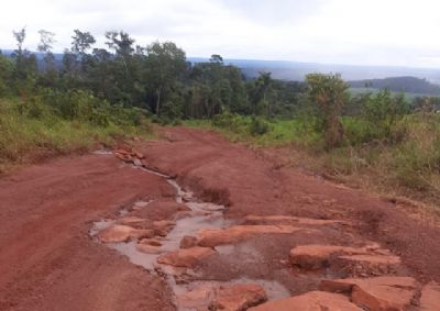 Vdeo | Janaina mostra estradas de MT e pede que governo decrete estado de calamidade