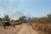 Pesquisa conclui etapa de queima controlada no auge da seca no Pantanal