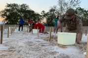 Projeto promove repovoamento de tartarugas no rio Araguaia