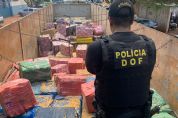 Fotos e Vdeos | DOF apreende mais de 18 toneladas de maconha escondida em carreta