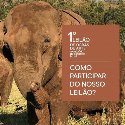 Santurio dos Elefantes promove leilo de obras de 20 artistas