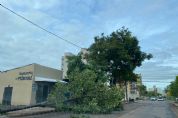 Fotos e vídeos | Temporal derruba árvores e postes; Cuiabá e VG registram falta de energia