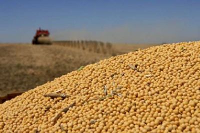 No PR, colheita de soja 2018/19 atinge 98%; plantio de trigo  iniciado