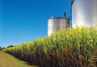 Estoques de etanol crescem 3,9% at 31 de outubro sobre igual perodo de 2018