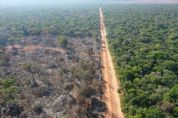 Operao integrada combate desmatamento ilegal na regio de Querncia