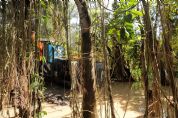 ​<Font color=Orange> Vdeos  e Fotos </font color> | Operao combate garimpo ilegal em terra indgena; prejuzo de R$ 20 milhes