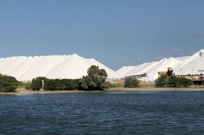 Decreto de Bolsonaro que poupa indstrias de sal  ilegal, diz Procuradoria