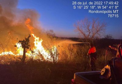 Vdeo | Incndio atinge rea verde em Rondonpolis e mulher confessa ter ateado fogo