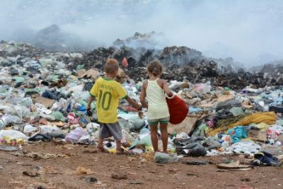 Como nascem os lixes no Brasil