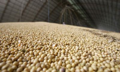 Produo de soja ter recorde de 120,1 milhes de t em 2020, diz IBGE