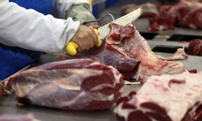 Exportao da carne bovina apresenta tendncia de recuperao aps duas retraes