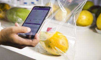 Embrapa desenvolve sensor que avalia grau de maturao de frutas