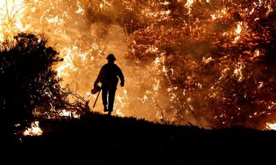 Calor e incndios colocam Portugal em estado de contingncia
