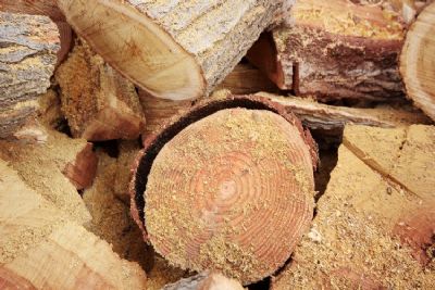 MPMT pede doao de madeira apreendida para Conselho Municipal de Segurana