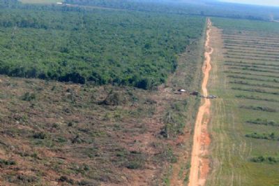 Audincia vai discutir dados sobre avano de desmatamento na Amaznia