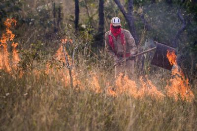 Ciman vai fortalecer enfrentamento aos incndios florestais em MT