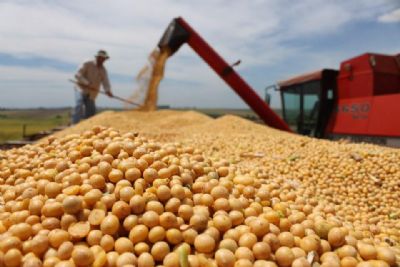 Comercializao da safra 2019/20 da soja mato-grossense passa dos 95%