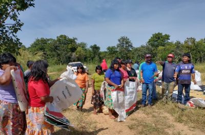 Comunidade Xavante colhe 20 toneladas de arroz para alimentao de indgenas