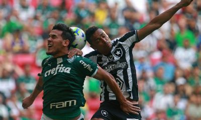 Brasileiro: em crise, Botafogo encara Palmeiras no Nilton Santos
