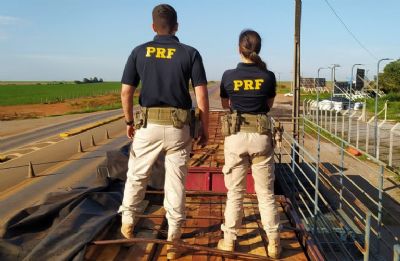 PRF apreende 64,26m de madeira serrada sendo transportada de forma ilegal