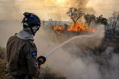 <Font color=Orange> Vdeo </font color> | Incndios se aproximam de pousadas na regio da Transpantaneira