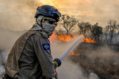 Governo de MT estabelece perodo proibitivo de uso do fogo com prazos ampliados e diferentes para Amaznia, Cerrado e Pantanal