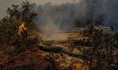 PF e rgos estaduais apuram causas de incndios no Pantanal