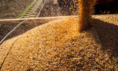 Valor da Produo Agropecuria fecha 2022 em R$ 1,189 trilho